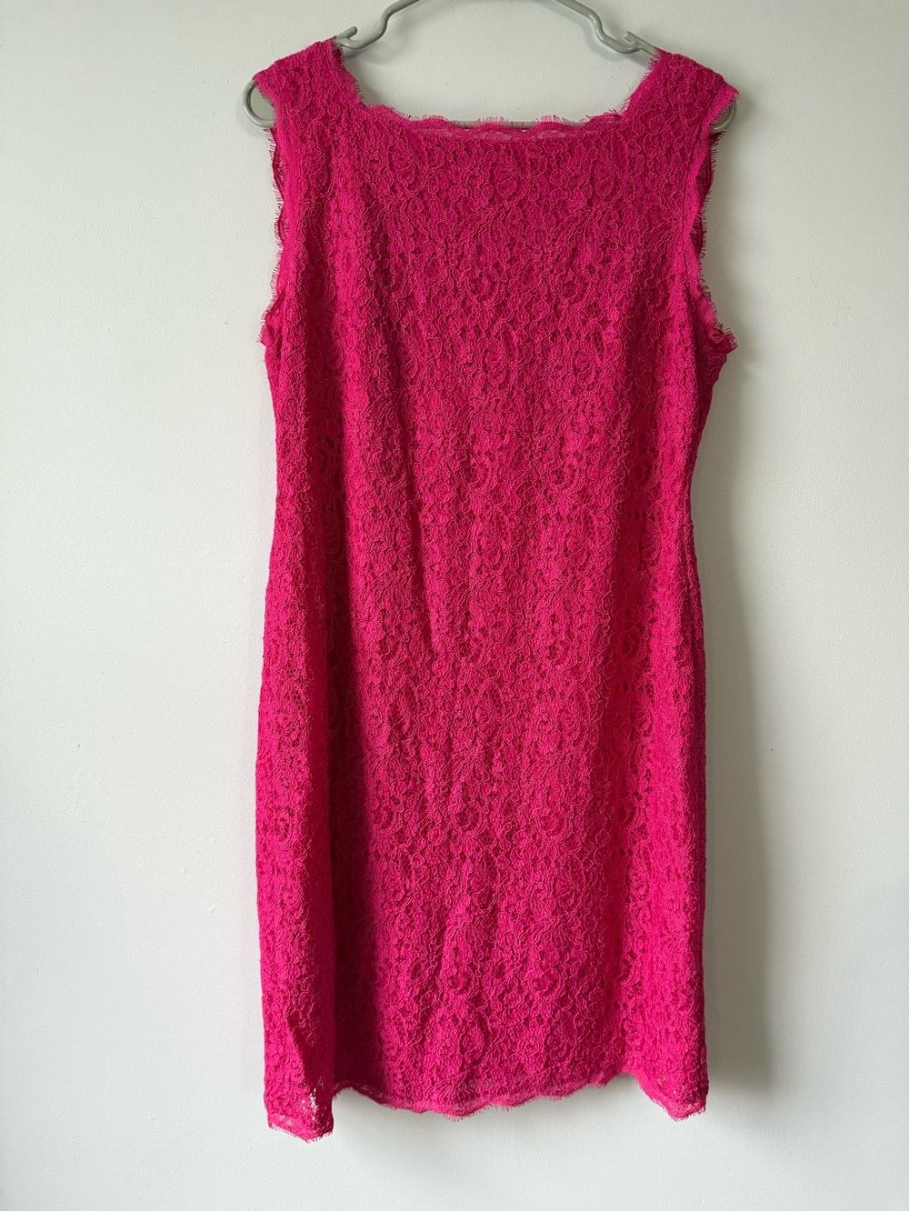 Adrianna Papell Sleeveless Lace Cocktail Fancy Dress Hot Pink Floral 14 L XL